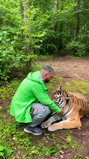 Kisses from daddy 😘🐯 #Donkey #DonkeyAdventures #DonkeyLove #DonkeyLife #DonkeyDreams #DonkeyMagic #DonkeyCompanion #DonkeyConnection | Mihal Tiger