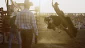 Slow Motion Shot of a Male BullRider Competing in a Bull Riding Event...