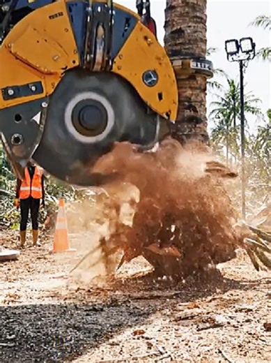 Inside a Coconut Wood Factory | From Raw Trees to High-End Luxury Panels (Full Manufacturing Process) 🌴 See how coconut trees are cut, treated, pressed, and transformed into premium wood panels using modern industrial technology. Step-by-step factory process revealed. #howitsmade #factoryprocess #woodworking #manufacturing #fyp