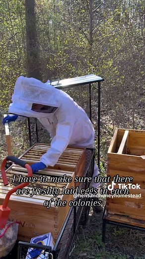Preventing Bee Swarms: The Walk Away Split Technique