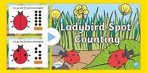 Ladybird Spot Counting PowerPoint