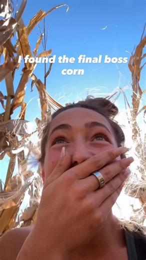 Laura Farms on Instagram: "One to stand above the rest! It’s so funny looking 😂 Glad I found it before the combine did! 🌽"