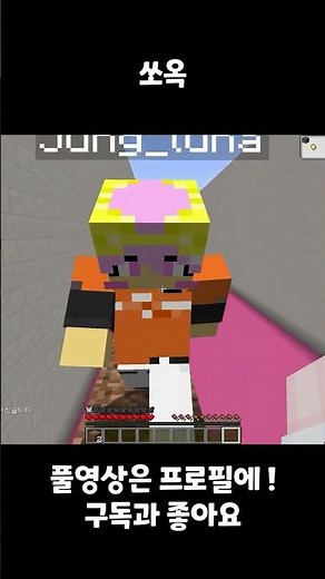 지능적인 플레이 #minecraft