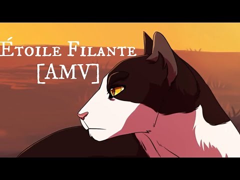 [LGDC] Étoile Filante [AMV] - J’ai cherché