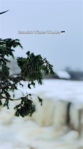 Jägala Waterfall in winter ❄️ Estonia’s widest natural waterfall, just ~30 km from Tallinn. Save this for a winter day trip 🇪🇪 #wintertravel @#visitestonia #jägalawaterfall #tallinndaytrip #hiddengems