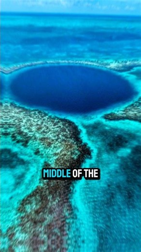😱 The Great Blue Hole Is Bigger Than You Think! #ocean #amazingfacts #belize