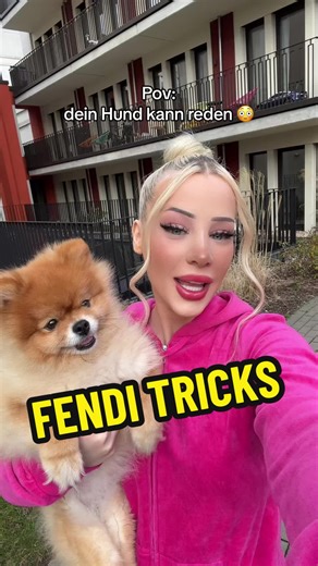 Fendi zeigt Tricks: Dreh, Platz und Pfote! 🐾