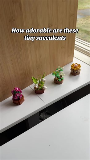Cute Lego Building with Adorable Tiny Succulents