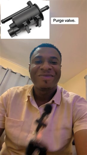 Volkswagen Jetta Purge Valve Explained