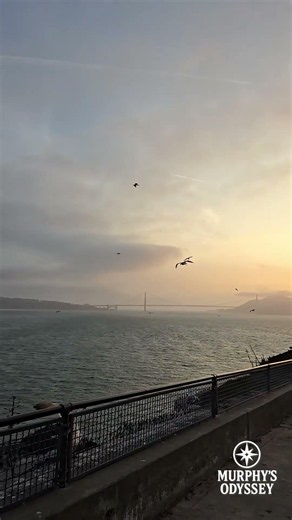 Cruising to the world's most famous prison at night #alcatraz #sanfrancisco #travel