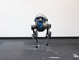 Artificial intelligence made this robot dog a very good boy