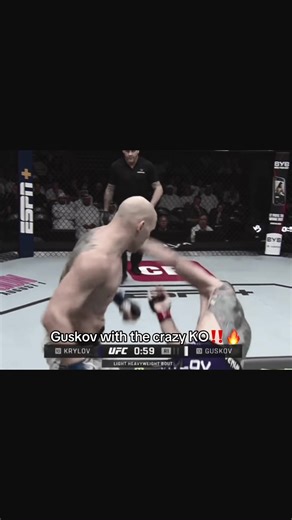 Crazy Knockout Highlights in MMA and UFC
