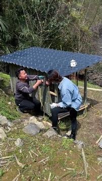 After days of rain, sky cleared. We built and surrounded the chicken coop