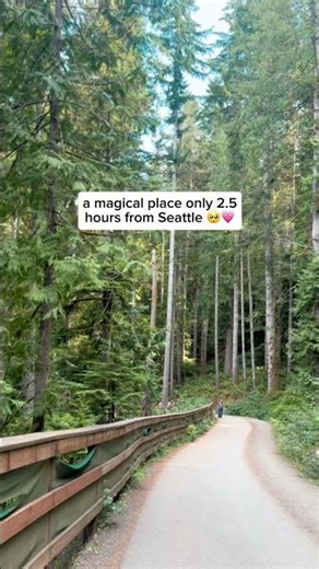 2.5 hours from Seattle is Heaven on Earth 😌 Follow the leave no trace rules📍Olympic National Park