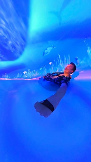 1.5K views · 10K reactions | Florida’s first 360° immersive...