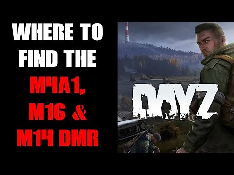 DayZ Sakhal Beginners Guide Where Do They Spawn & How To Find M4A1, M16 & M14 DMR, Mags & Ammo