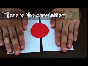 Tectonic Plate Movement Simulation Group 1 X A