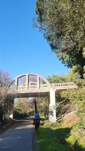 Today we did a lovey long trail ride. Ended up on Corte Madera's communal trails. Ella, Saraya and Penny | Horse Hill Mill Valley, CA