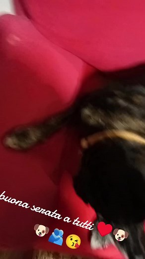 Video di laura (@laurafavero380) con Ubriaco Di Te - Dargen D'Amico