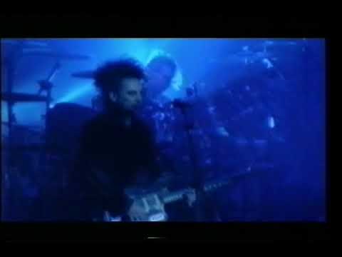 The Cure - Pictures Of You (Live 1992)