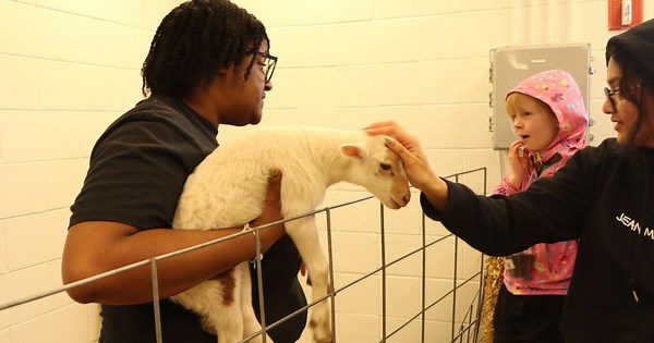 Spring has sprung: Spring Fest returns to campus