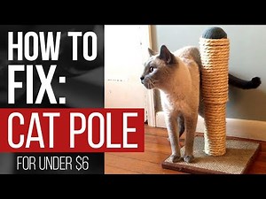 How To Fix A Cat Scratching Pole/Post for Under $6 | #DIY #HOWTO