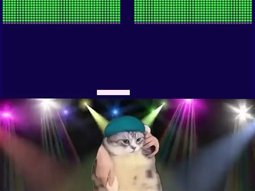 千赞达成！继续跟着猫咪的节奏一起打砖块！