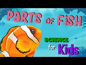 Parts of a Fish | Science for Kids - Videos For Kids