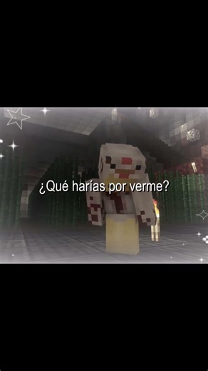 Nugget SMP Hermanos. #nuggetsmp #themagmaboi #capitangato #starvtuber