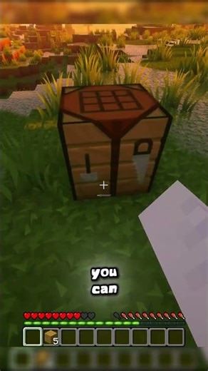 HOW TO TRAP ENDERMAN WITH JUST A BOAT 😱