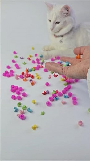 ASMR Cat 🐾 Relaxing Purring Sounds for Sleep & Stress Relief