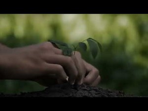 Tree Planting Advocacy