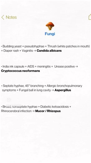 🔬 USMLE Step 1 Micro Buzzwords You MUST Know 🦠