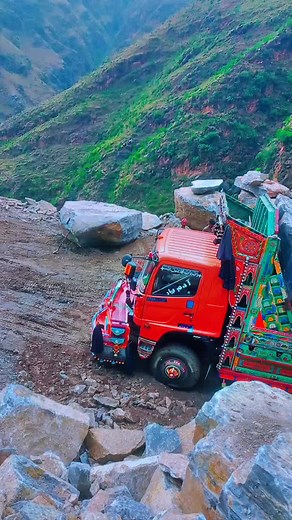 #star #zebra #buner #truck #foryoupage #fypシ゚viral