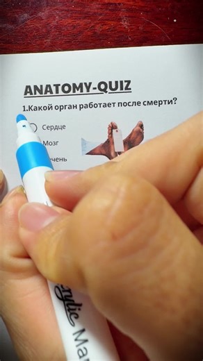 Anatomy Quiz: Test Your Knowledge