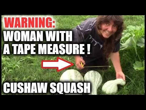 GIANT Cushaw Squash Harvest | Harvesting From Our Container Garden