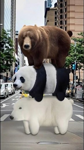 Top 3 Animals With the Weirdest Body Features Ever