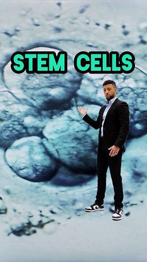 My explanation of stem cells. part 1. New Science raps every Friday at 4pm #rappingteacher #science #exam #revision #gcse #biology #stemcells #stemcell #stem #combinedsciencegcse #year10 #year11 #biology #tiktokteacher | Matt Green