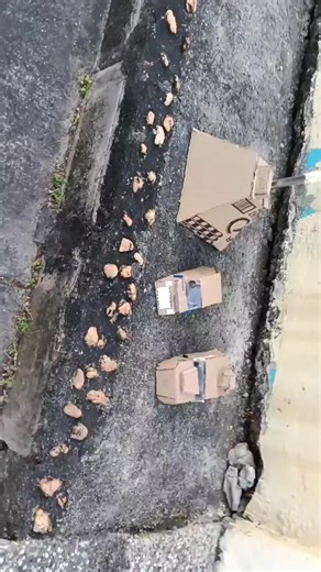 ⛈️🌪️🌀Tornado🎊Chaser🌀🌪️⛈️ (@juanelnar93)’s videos with PJ Masks Theme Song - PJ Masks