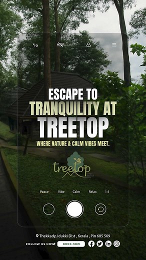 🌿 Escape. Unwind. Reconnect. Discover serenity at Treetop – The Hotel, nestled in the lush greens of Thekkady, Kerala. Let nature’s calm embrace you where peace, vibes, and relaxation converge. 🍃 Perfect for a quiet getaway or a soulful retreat. 📍 Thekkady, Idukki, Kerala 🔘 Book your escape now! . . . #TreetopHotel #ThekkadyRetreat #EscapeToNature #KeralaGetaway #TranquilityInTheWoods #NatureLovers #CalmVibesOnly #EcoStayKerala | Hotel Treetop Thekkady