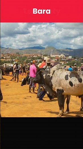 The Tribes of Madagascar