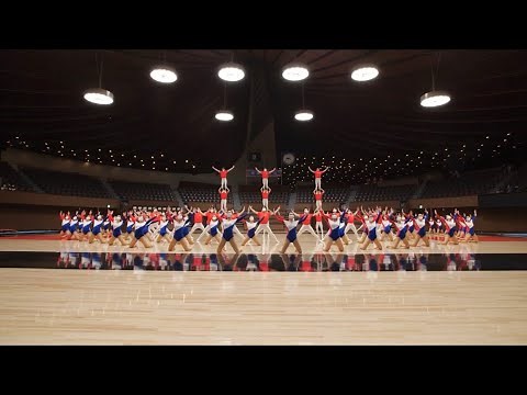 日体大体操部の演技が凄すぎる①mix 演技発表会2020年1月