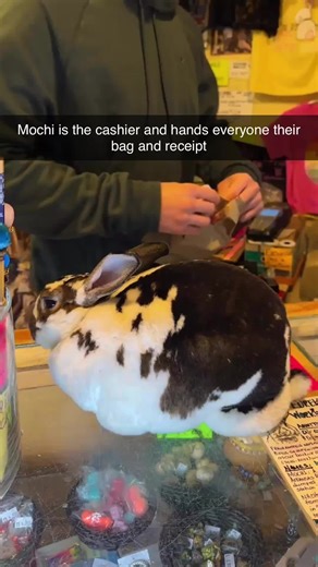 Amazing customer service | customer service