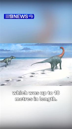 The discovery is set to raise questions about possible interactions between the carnivores and herbivores. #9News #Dinosaur