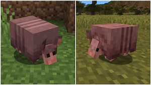 Minecraft players discuss new upcoming armadillo texture