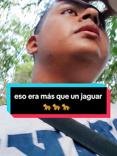 Encuentro con un Nahual en la Selva Lacandona