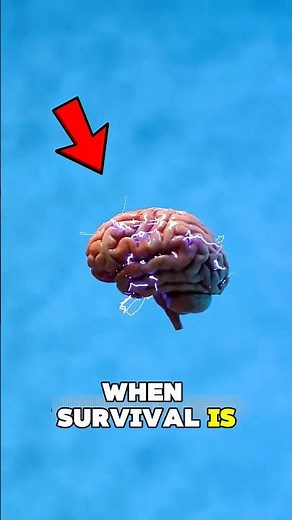 What Happens in Your Brain 2 Minutes After Death? 😳