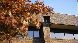 Autumn Leaves Blowing Outside of Corporate Building 1