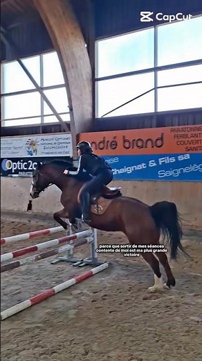 #equitation #horse #equestrian