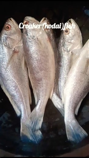 croaker fish fry recipe 😋 (kodai fish) #fishfryrecipe #fishfry